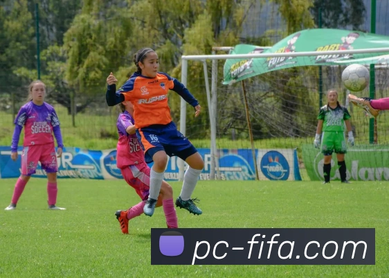 世界杯买球服务体系